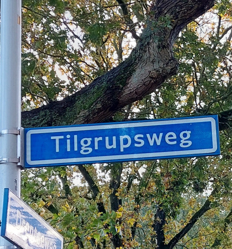 Tilgrupsweg